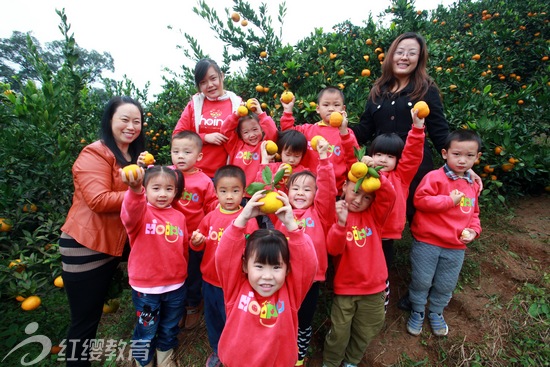 湖北宜昌龙泉镇中心幼儿园举行秋游橘园活动