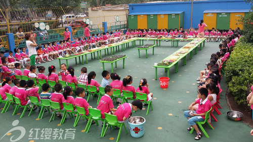 山东淄博红缨佳佳幼儿园举办首届跳蚤市场活动