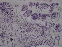 图片7