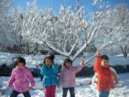 漂亮的雪花