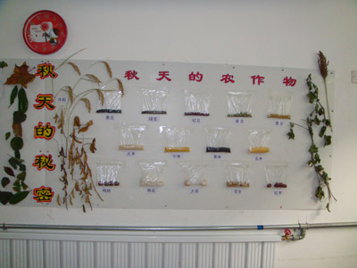 山东济宁煤化幼儿园秋季环境布置精品展示_红