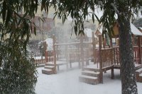 下雪啦