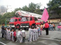 图片9