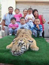 图片4