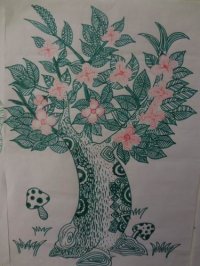 图片7