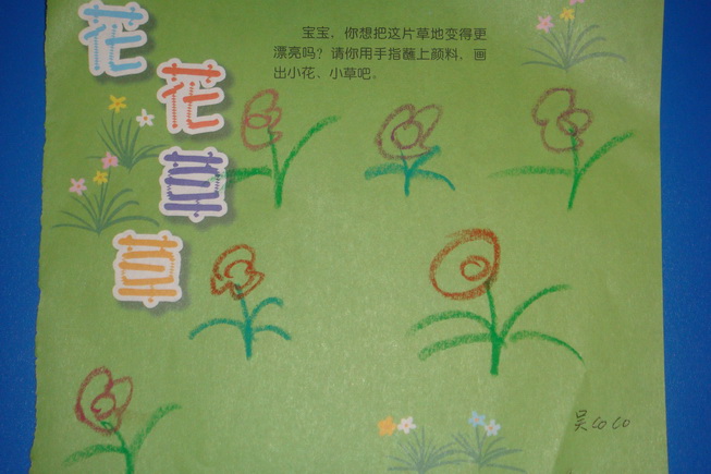 花花草草----宝宝班