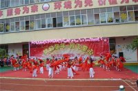 舞蹈：中国美