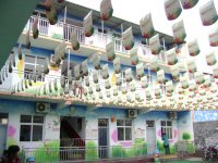 图片1