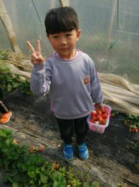 图片9